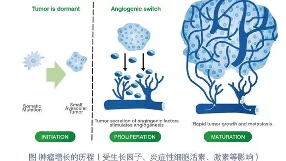 检验科普ￜ肿瘤早筛&ldquo;风向标&rdquo;&mdash;&mdash;VEGF检测到底查什么？
